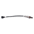 226A0-4CL0B Oxygen Sensor